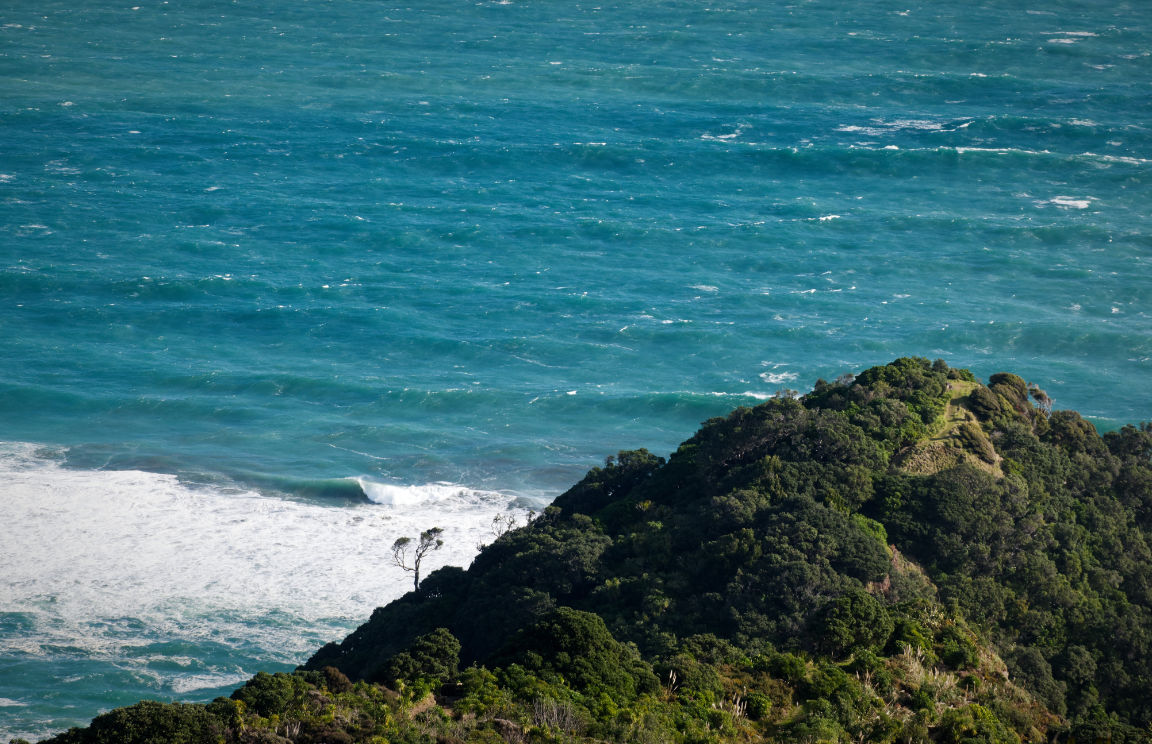 Te Waha Point